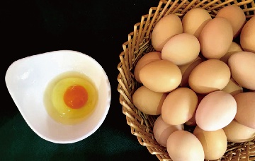 【長(zhǎng)田動(dòng)態(tài)】“長(zhǎng)田樂(lè)享濟(jì)蛋”購(gòu)買(mǎi)指南來(lái)啦