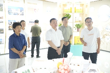 【長(zhǎng)田動(dòng)態(tài)】區(qū)政協(xié)黨組書記、主席呼廷貴一行蒞臨易豐農(nóng)業(yè)開展專題調(diào)研?